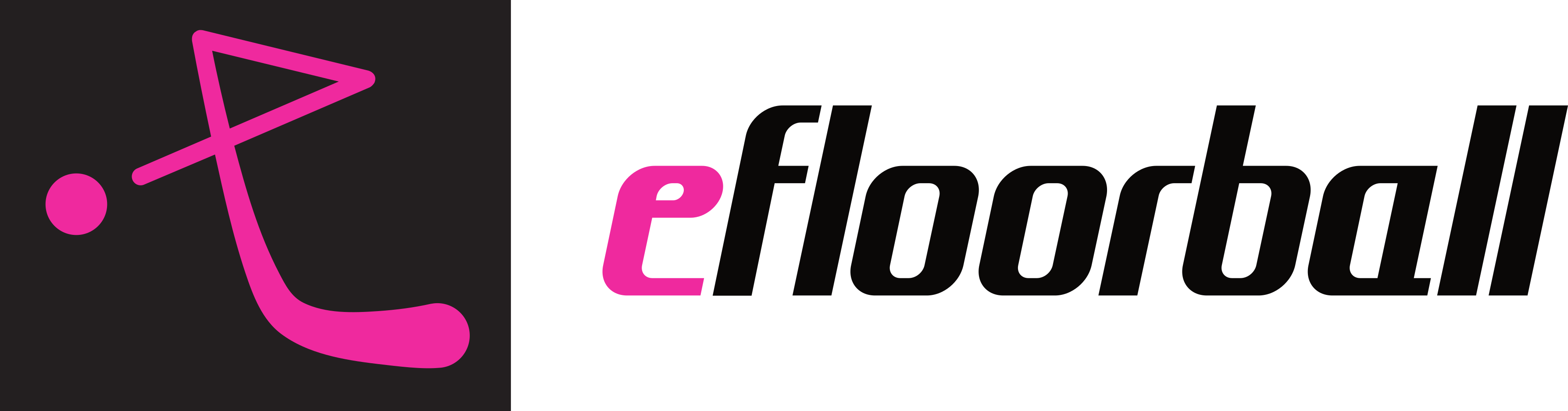efloorball